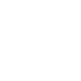 SGS-icon.png