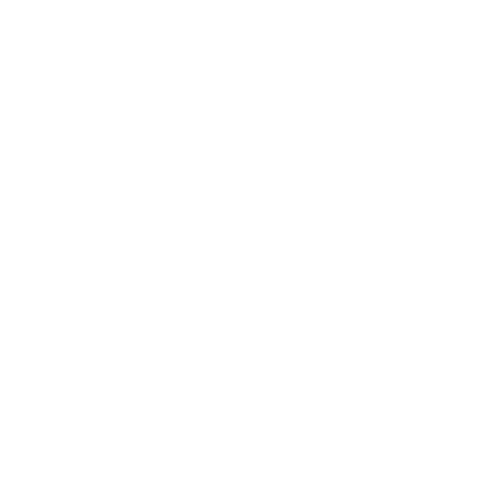 icon-2-sec2.png