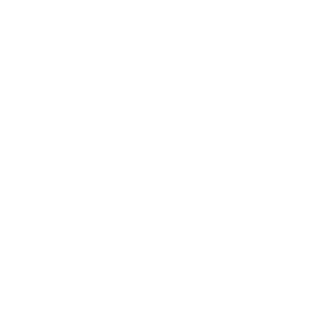 icon1-sec2.png