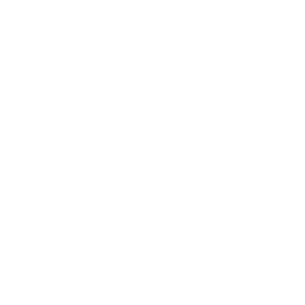 icon4-sec2.png