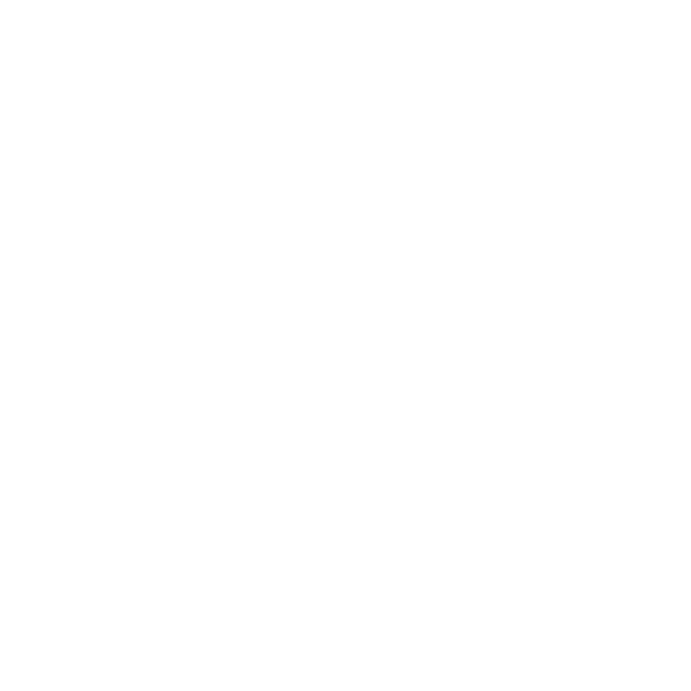 icon5-sec2.png